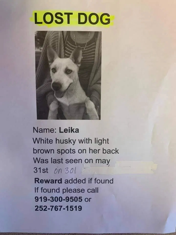 Lost dog in Four Oaks, NC, 27524