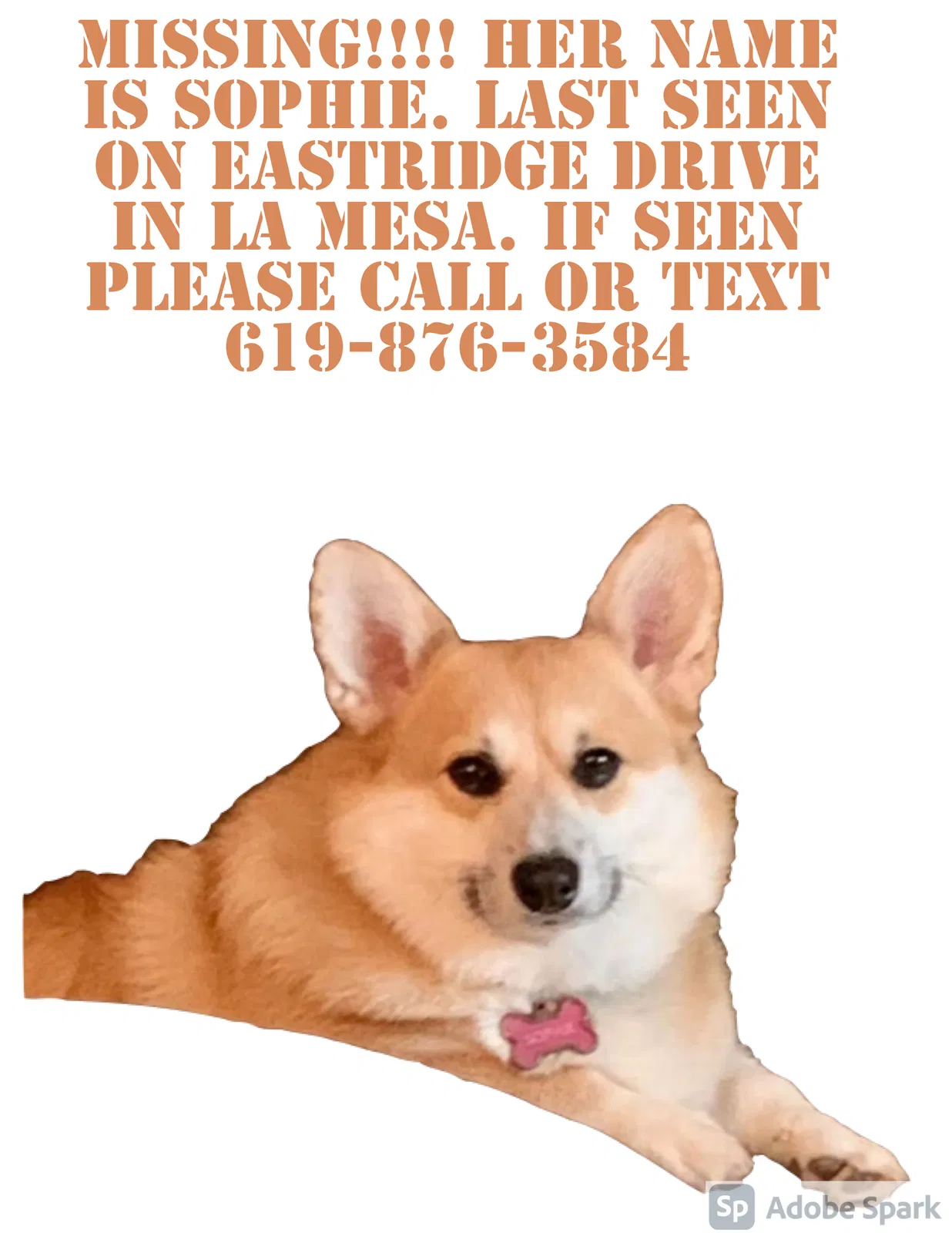 Lost dog in La Mesa, CA, 91941