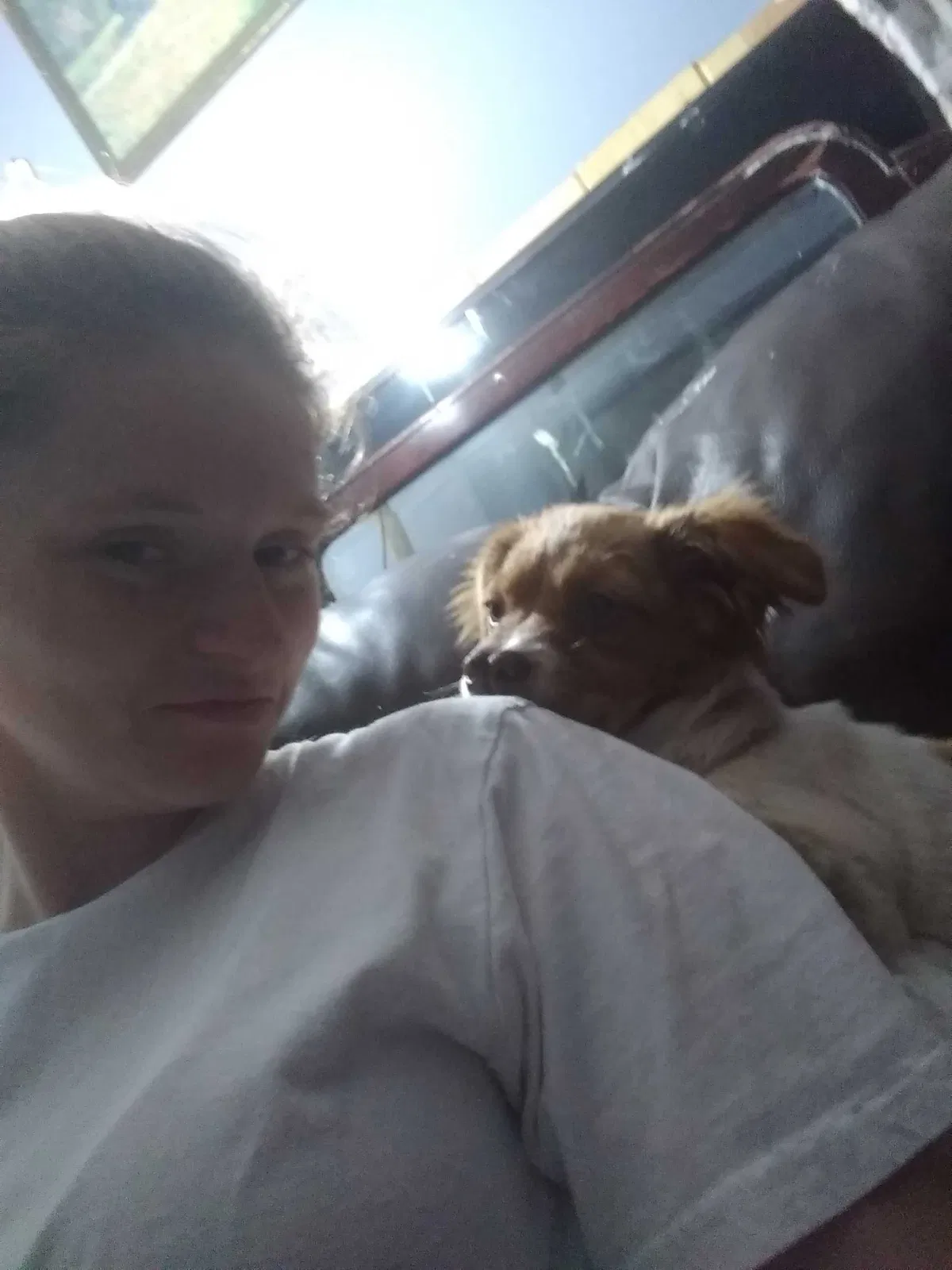 Lost dog in Cumming, GA, 30041