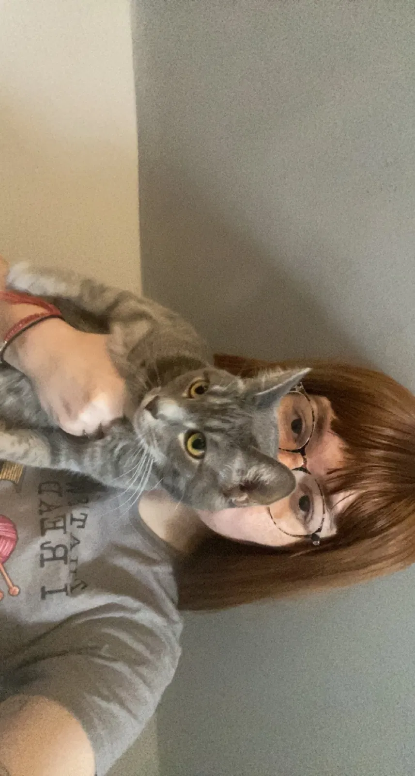 Lost cat in Columbus, OH, 43202