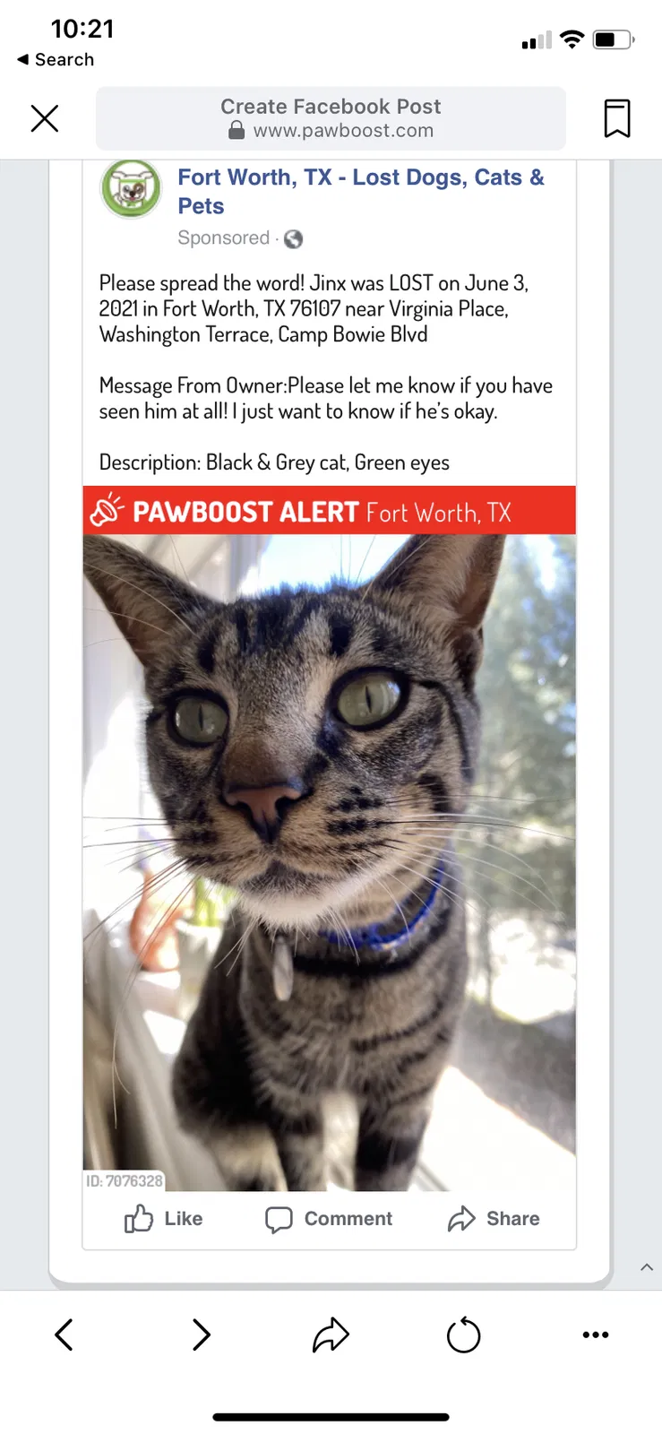 Lost cat in Fort Worth, TX, 76107