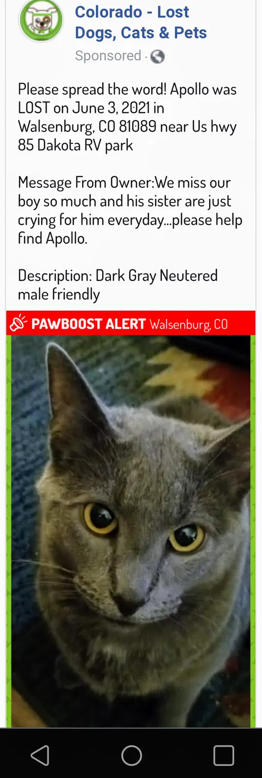 Lost cat in Walsenburg, CO, 81089