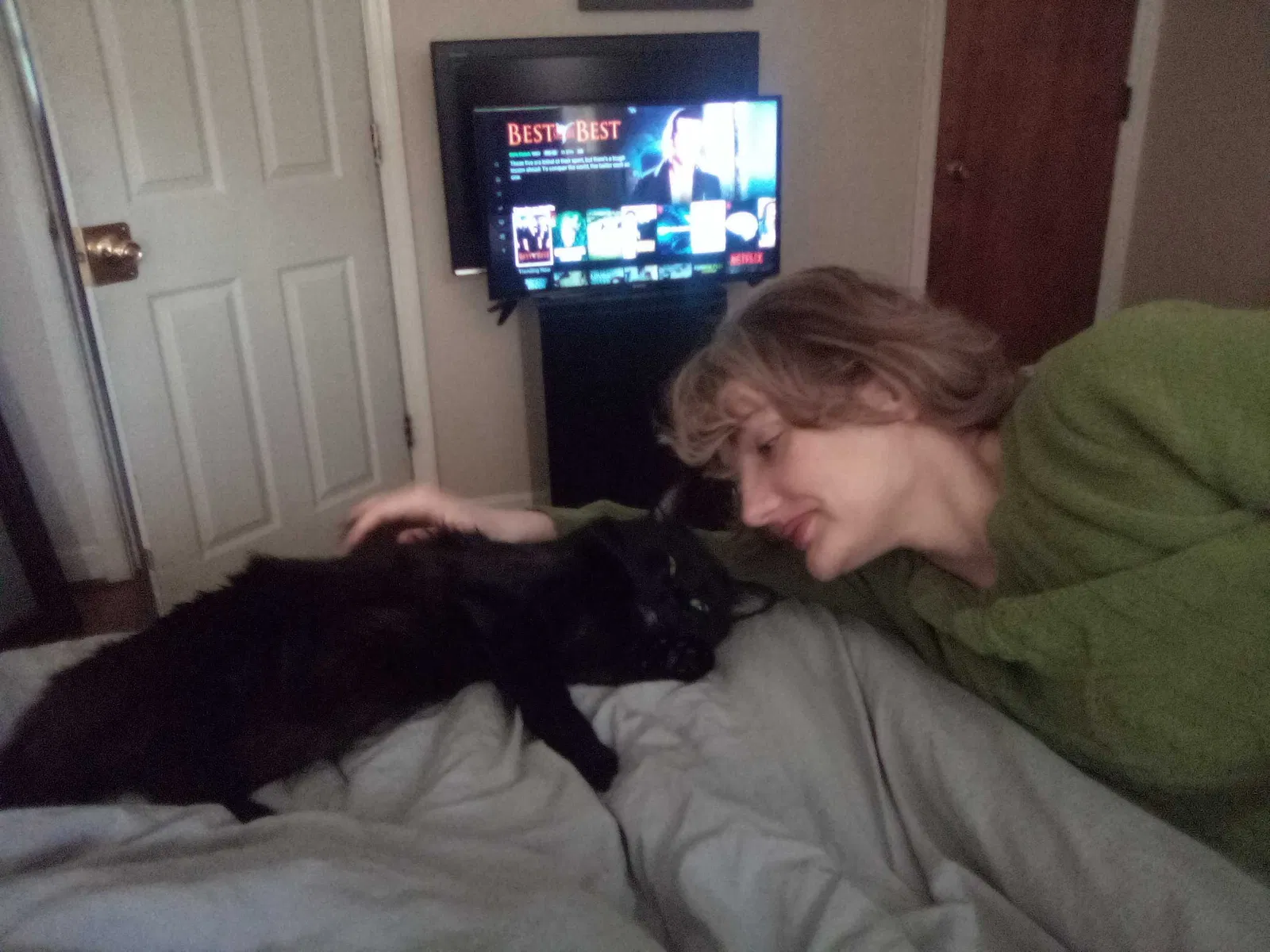 Lost cat in York, SC, 29745
