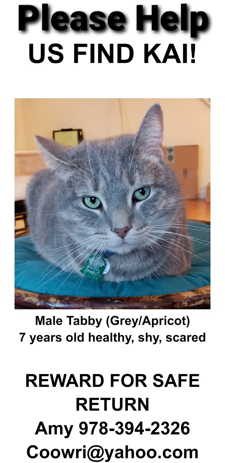 Lost cat in Concord, MA, 1742