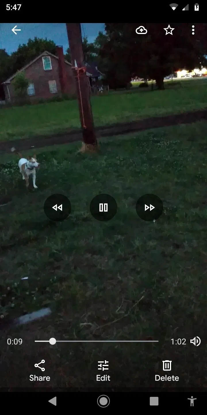 Lost dog in Clarksville, TN, 37042