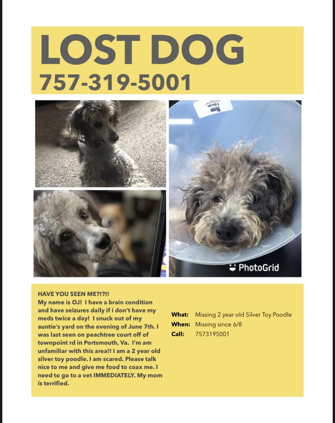 Lost dog in Portsmouth, VA, 23703