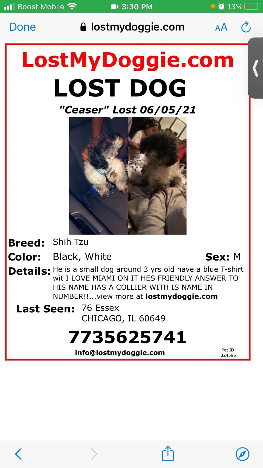 Lost dog in Chicago, IL, 60649