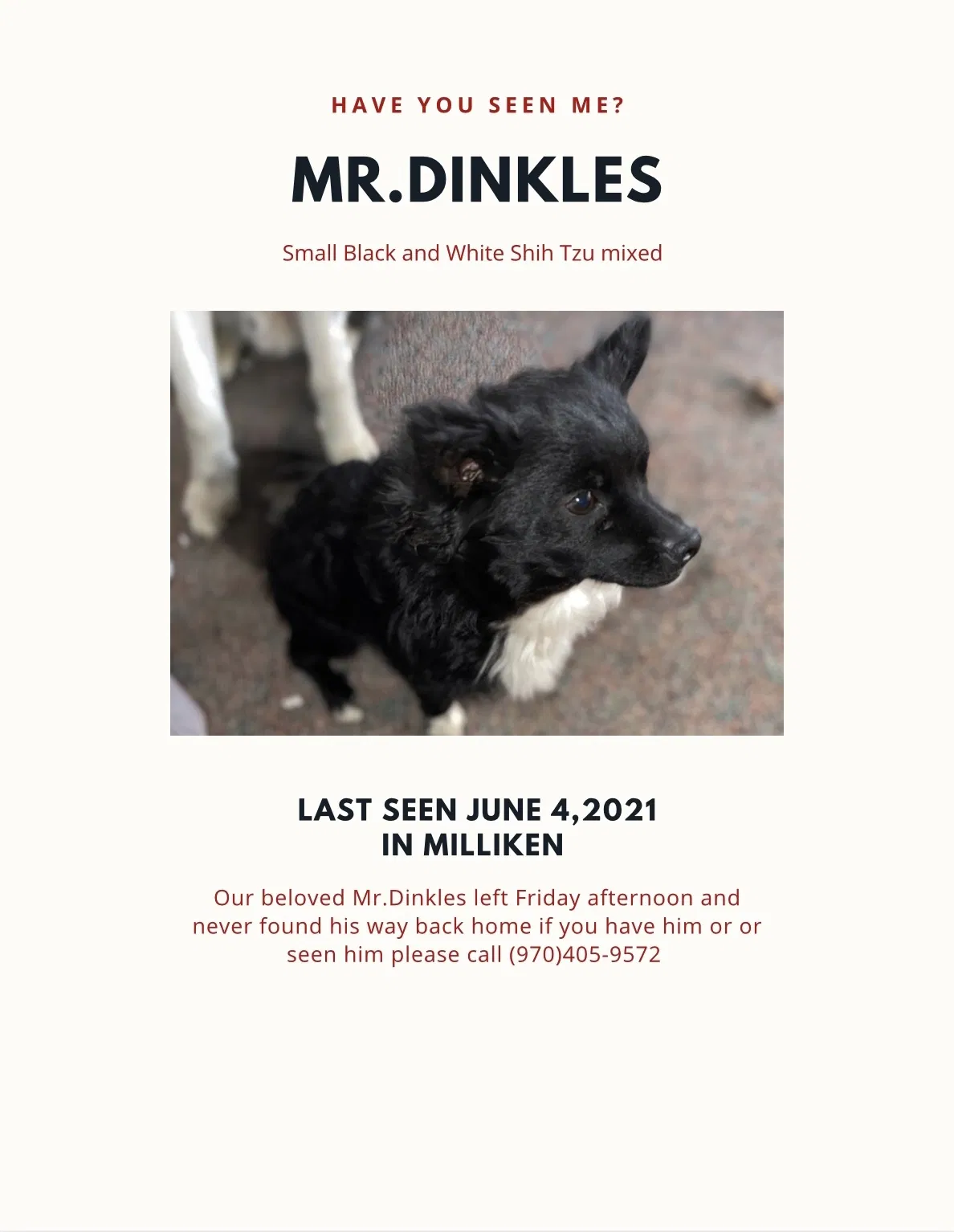 Lost dog in Milliken, CO, 80543