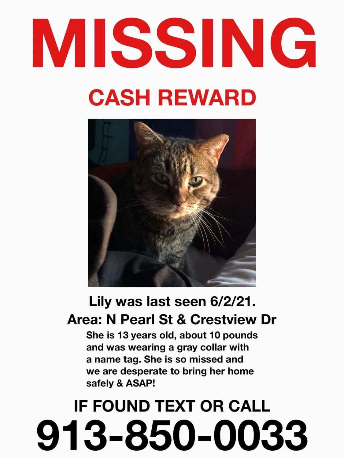 Lost cat in Paola, KS, 66071