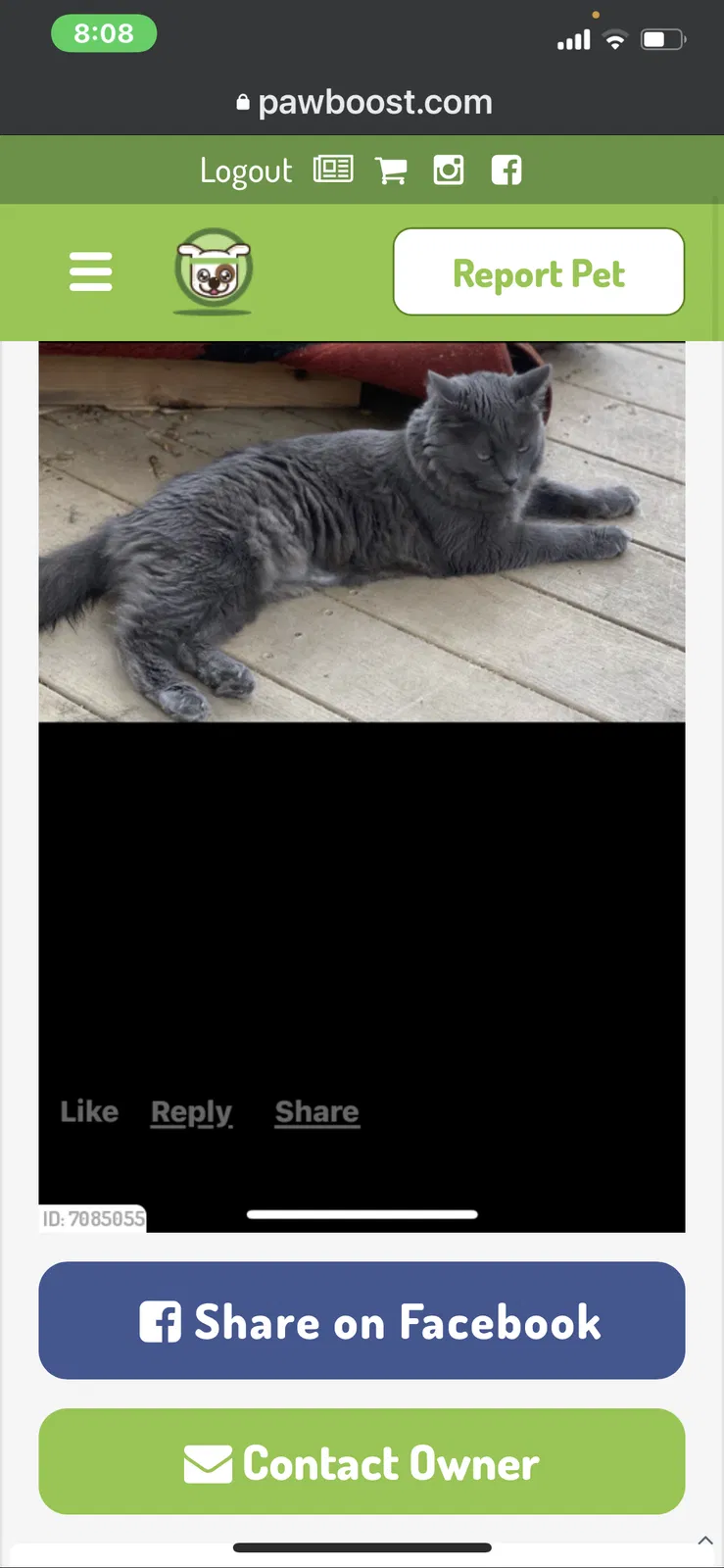 Lost cat in Jeffersonville, IN, 47130