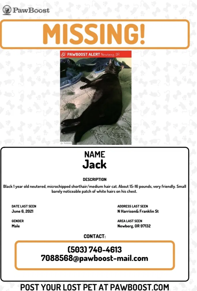 Lost cat in Newberg, OR, 97132