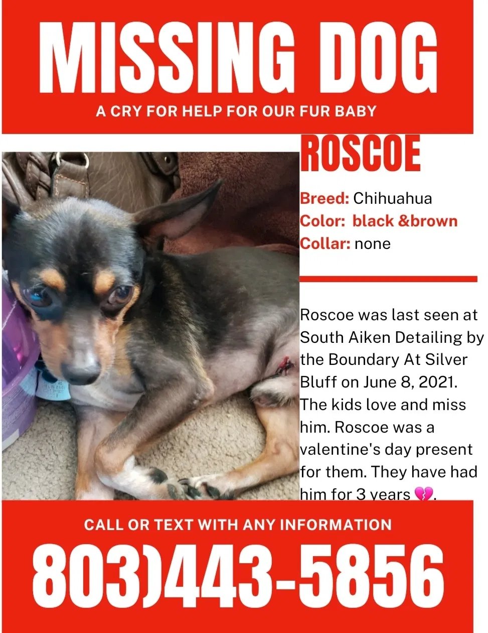 Lost dog in Aiken, SC, 29803