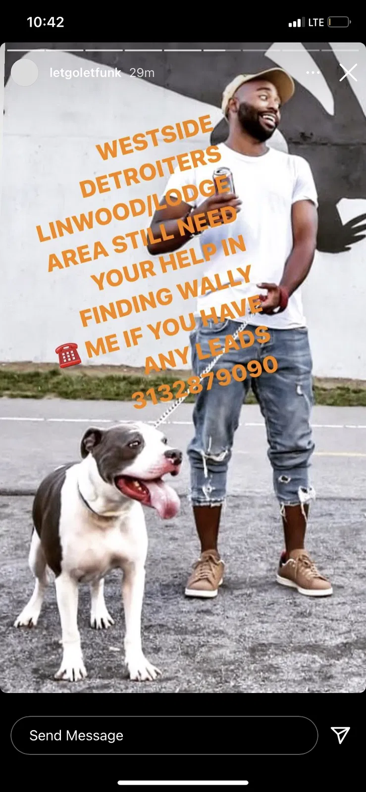 Lost dog in Detroit, MI, 48201