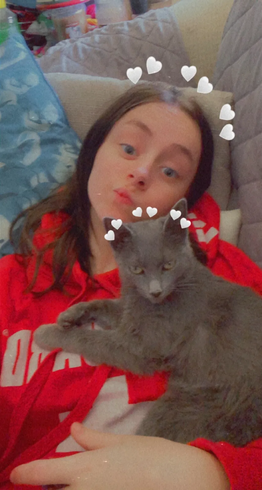 Lost cat in Poquoson, VA, 23662