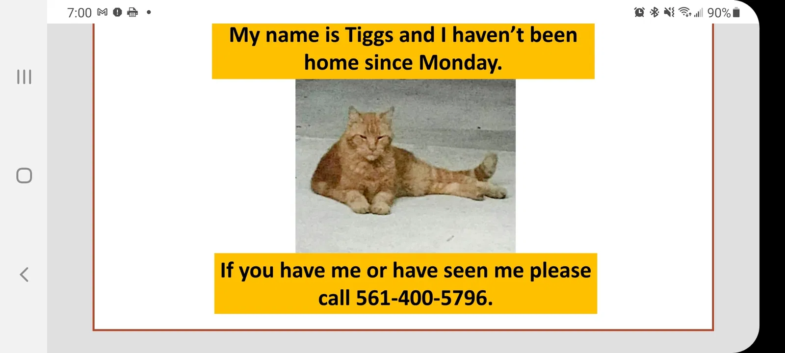 Lost cat in Boynton Beach, FL, 33472