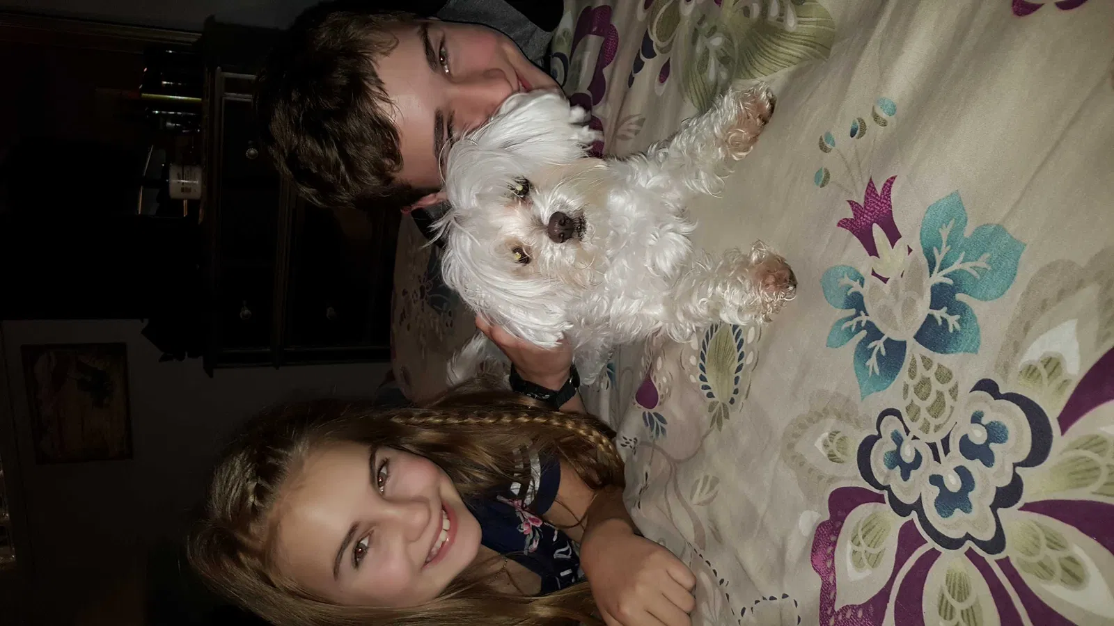 Lost dog in Azle, TX, 76020