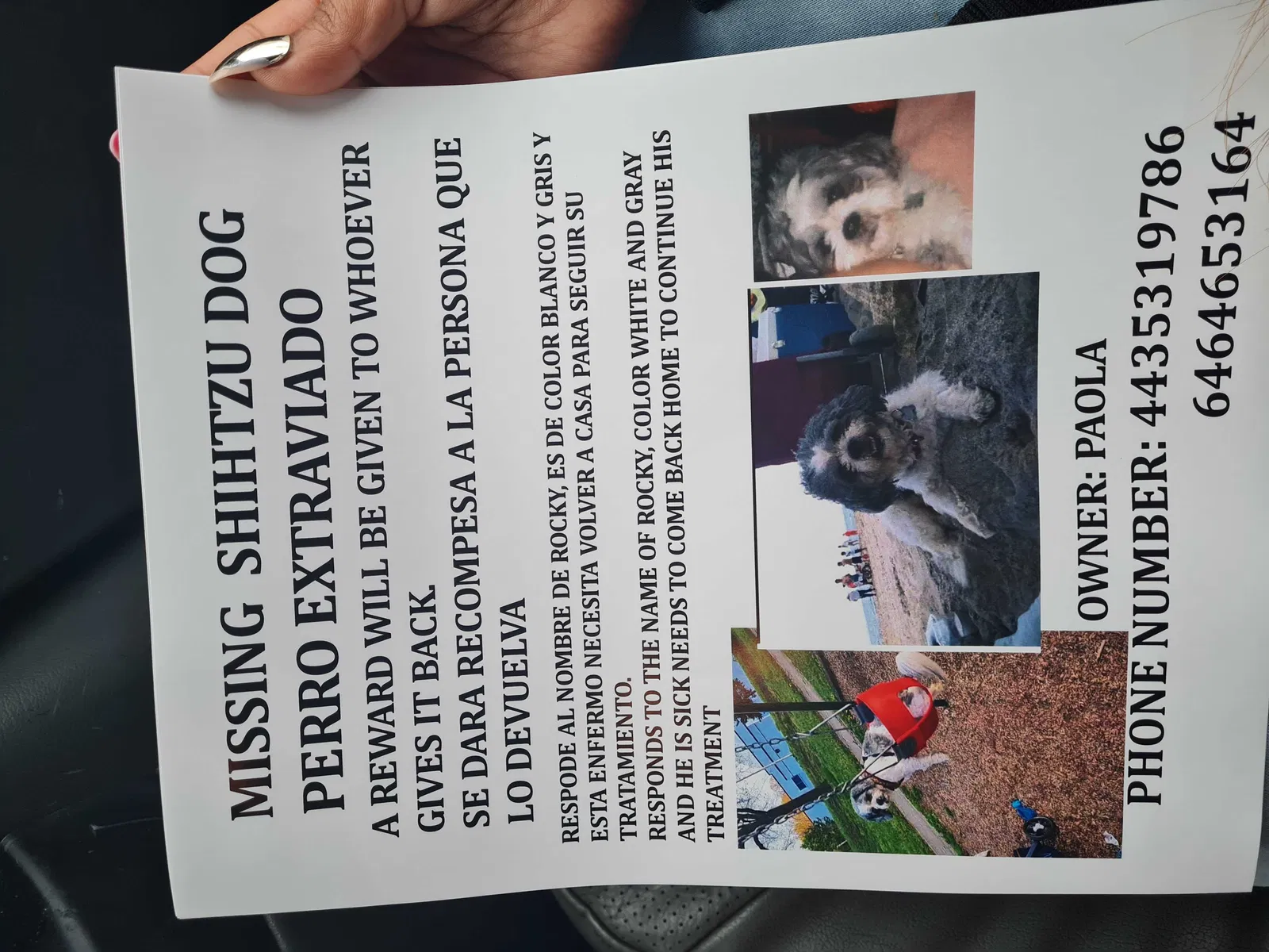 Lost dog in Baltimore, MD, 21224