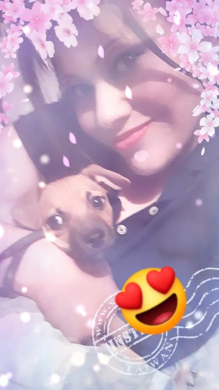 Lost dog in Lubbock, TX, 79404