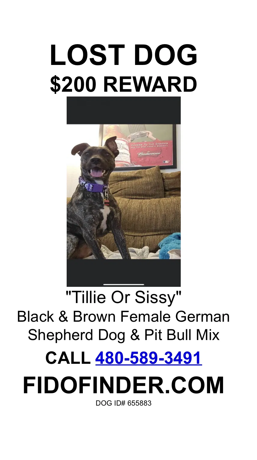 Lost dog in Oklahoma City, OK, 73170