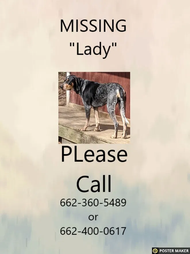 Lost dog in Southaven, MS, 38671