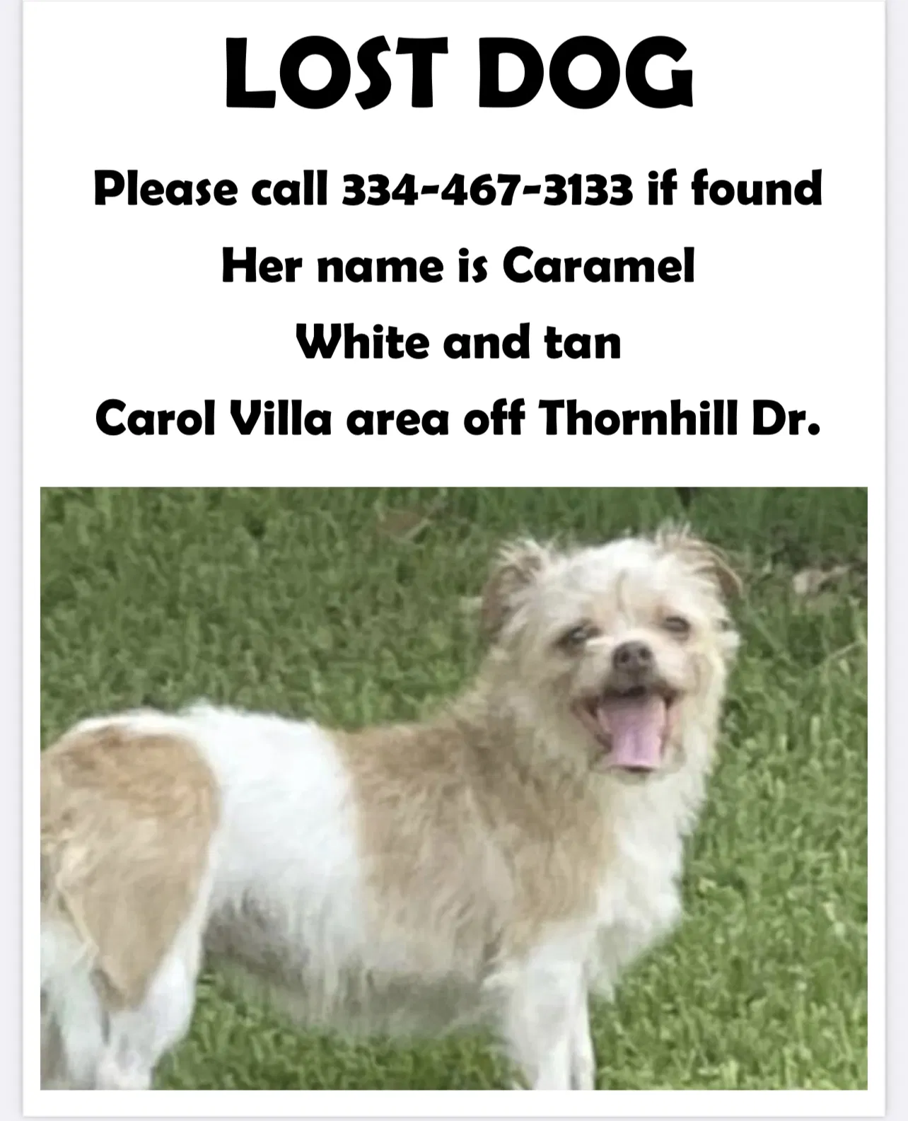 Lost dog in Montgomery, AL, 36109