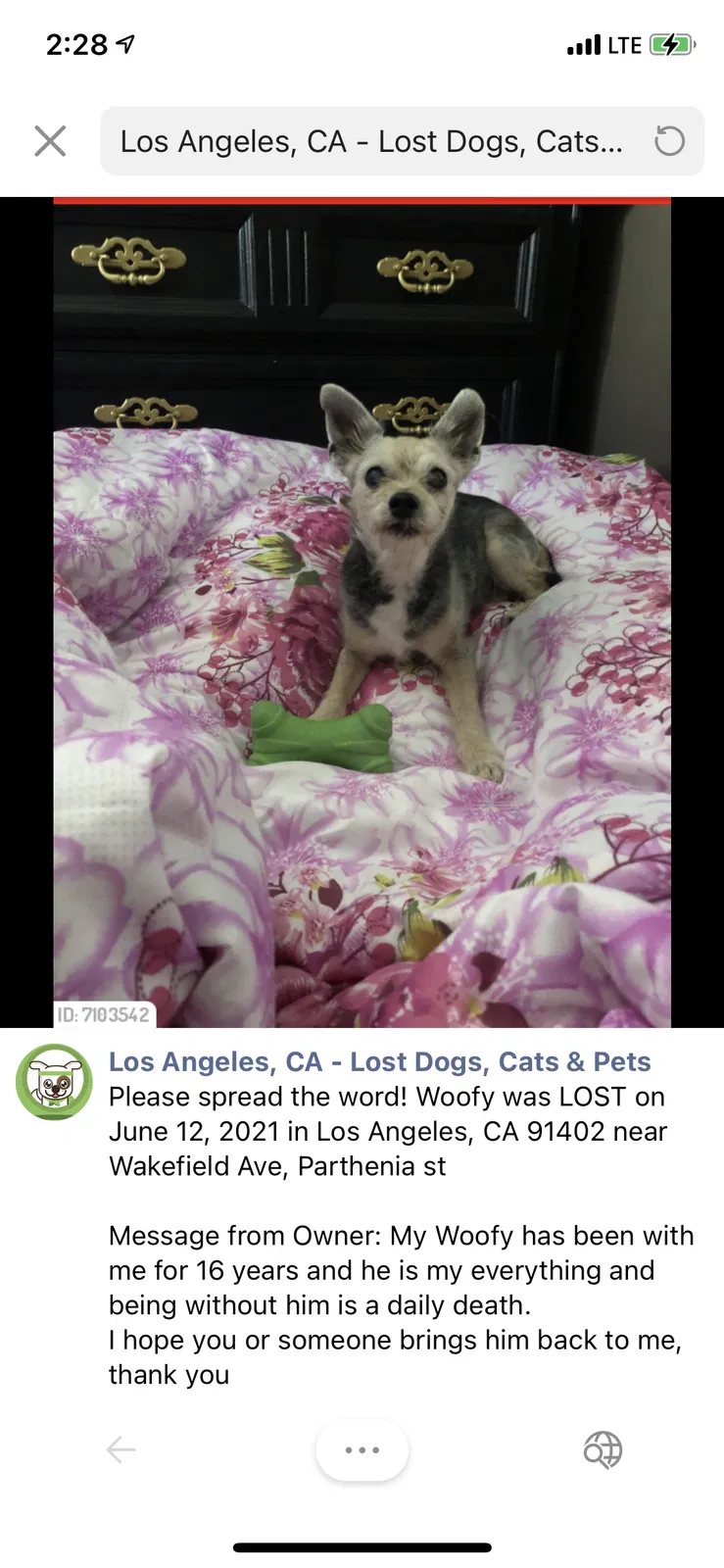 Lost dog in Panorama City, CA, 91402