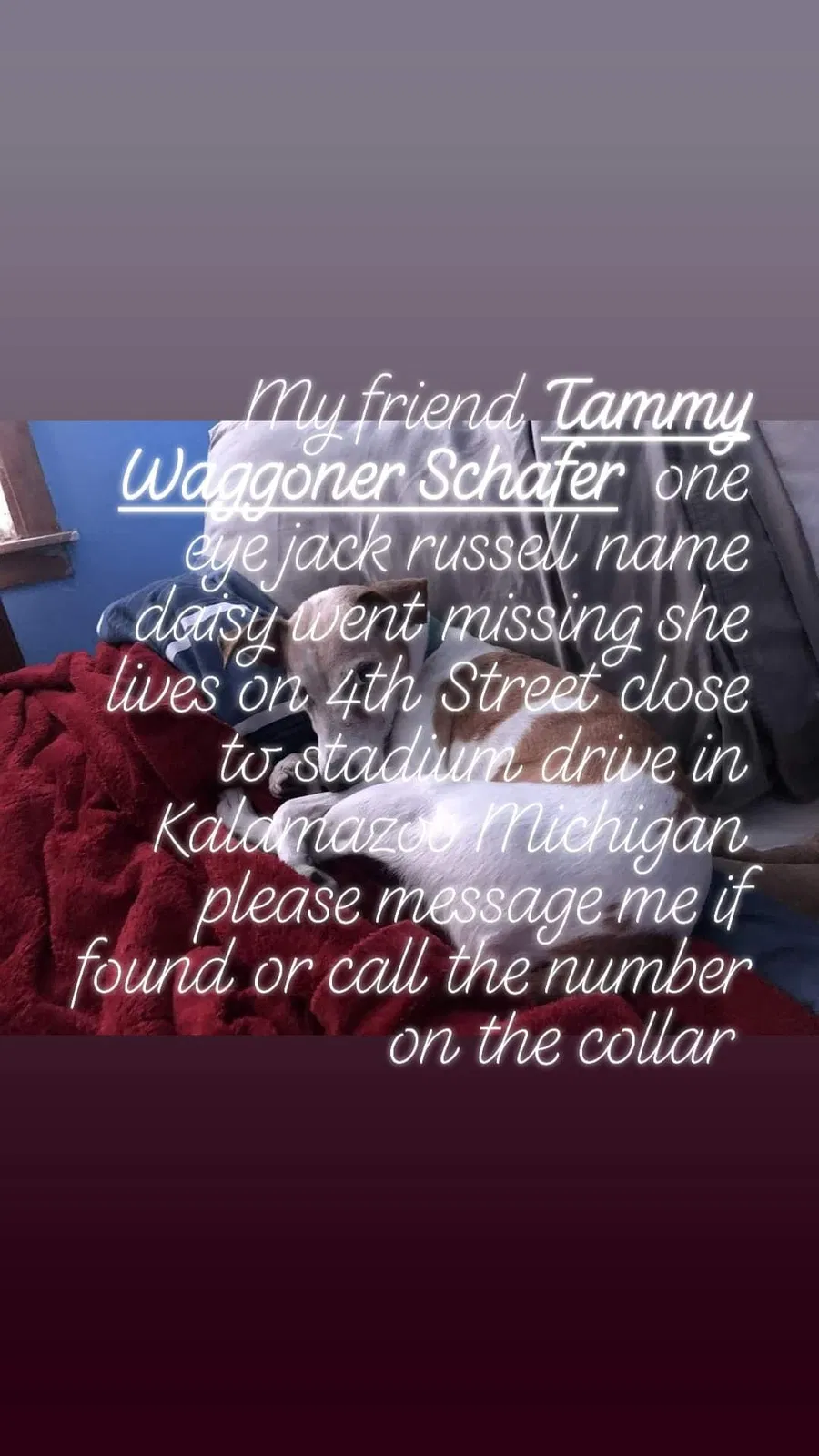 Lost dog in Unknown, MI, 499909