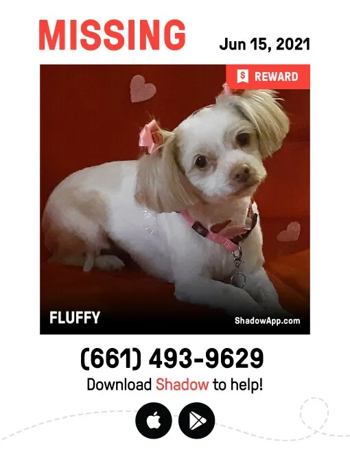 Lost dog in Walnut, CA, 91789