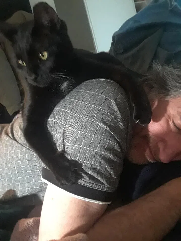 Lost cat in Vacaville, CA, 95687
