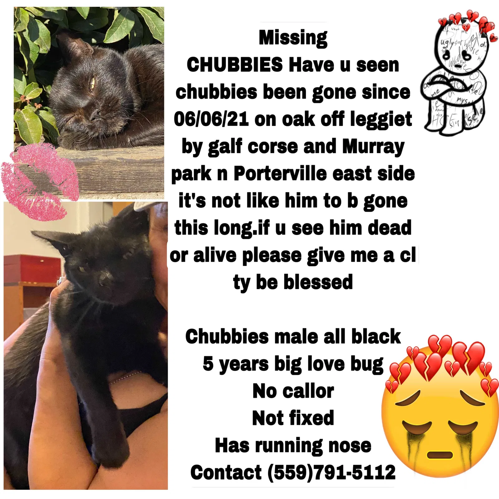 Lost cat in Porterville, CA, 93257