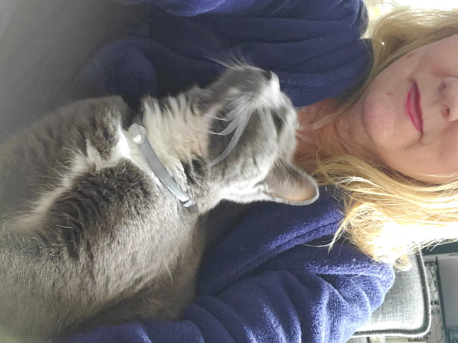 Lost cat in Nashville, TN, 37208