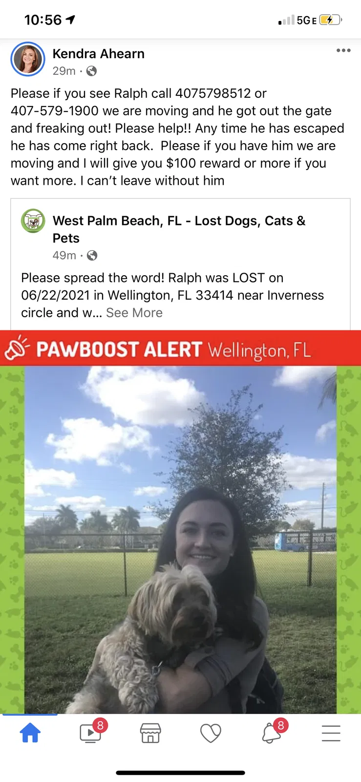 Lost dog in Wellington, FL, 33414