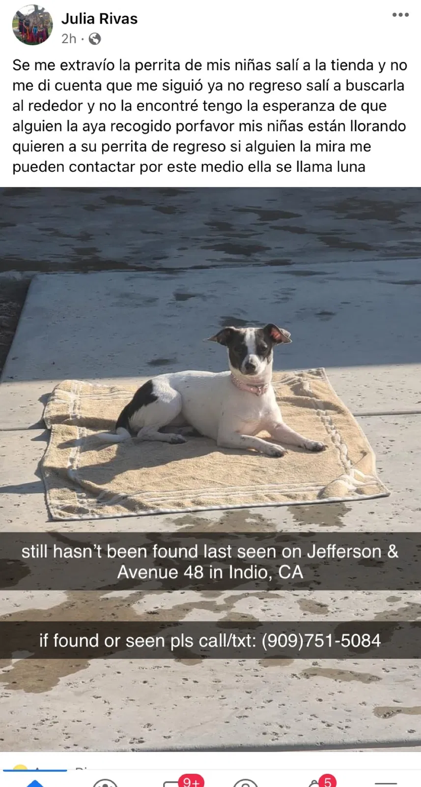 Lost dog in Indio, CA, 92201