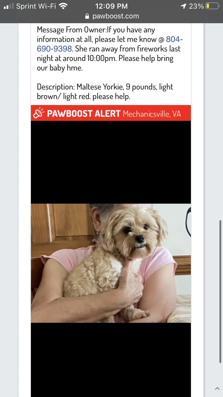 Lost dog in Mechanicsville, VA, 23116