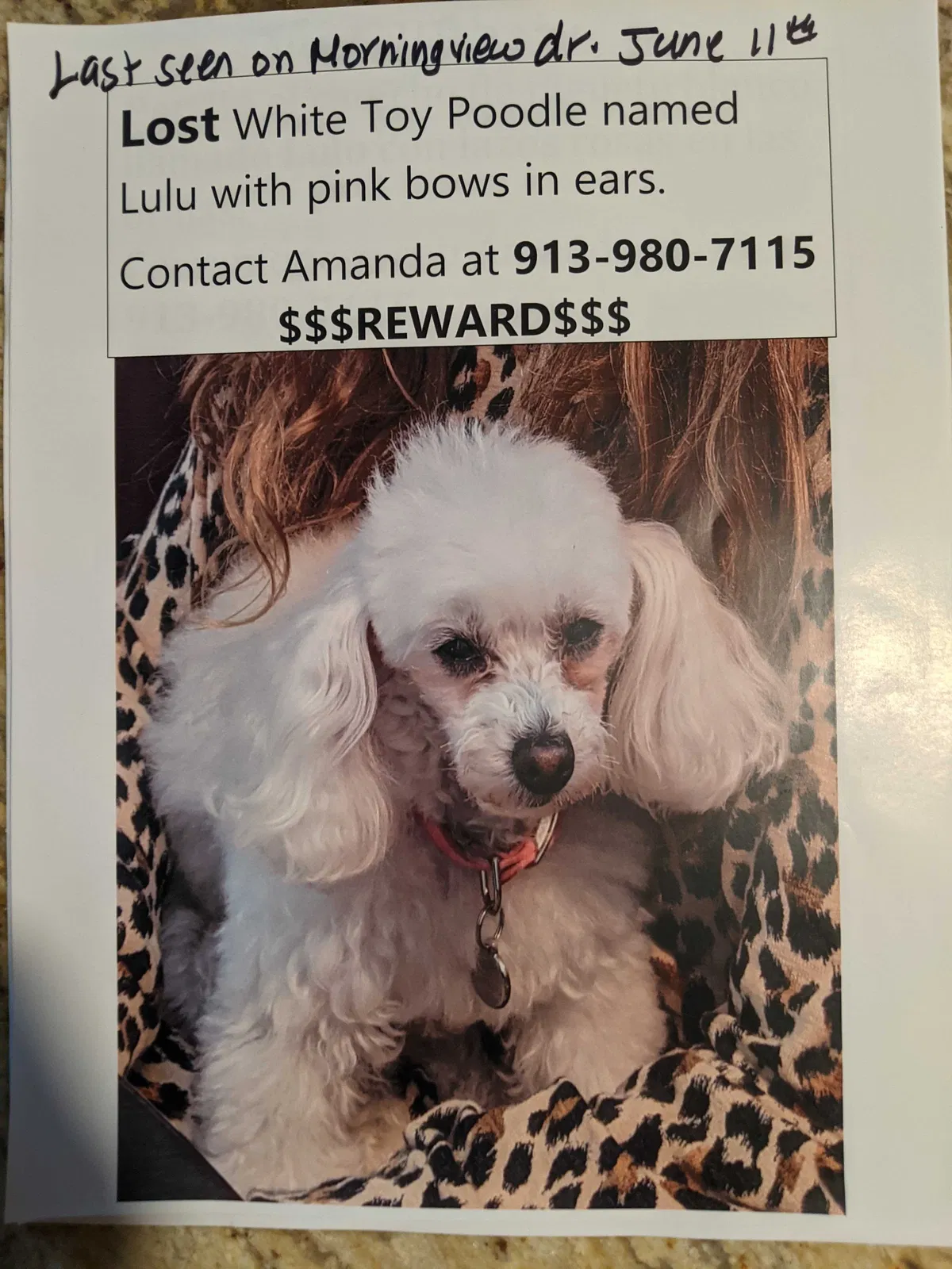 Lost dog in Malibu, CA, 90265