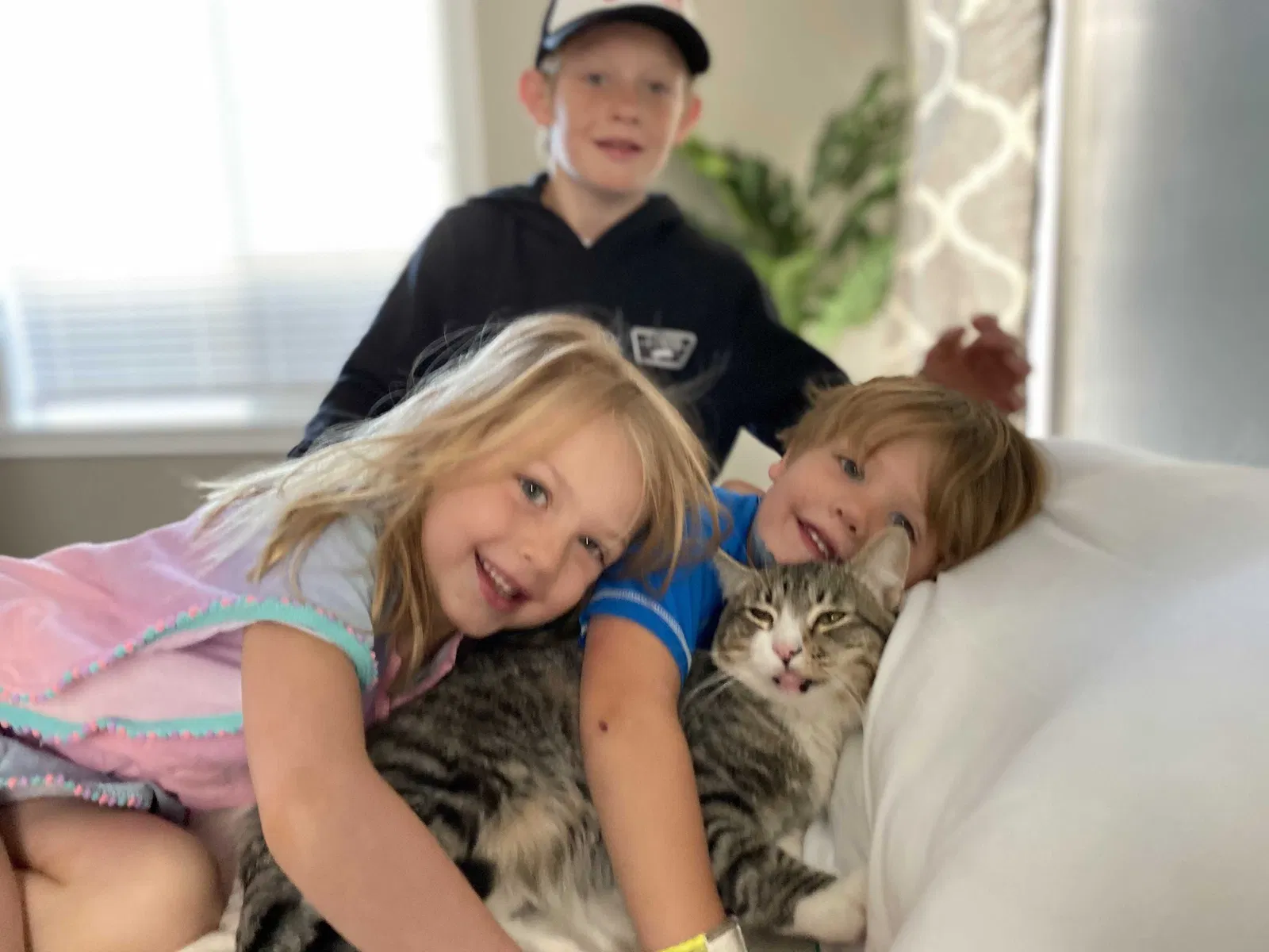 Lost cat in Midvale, UT, 84047