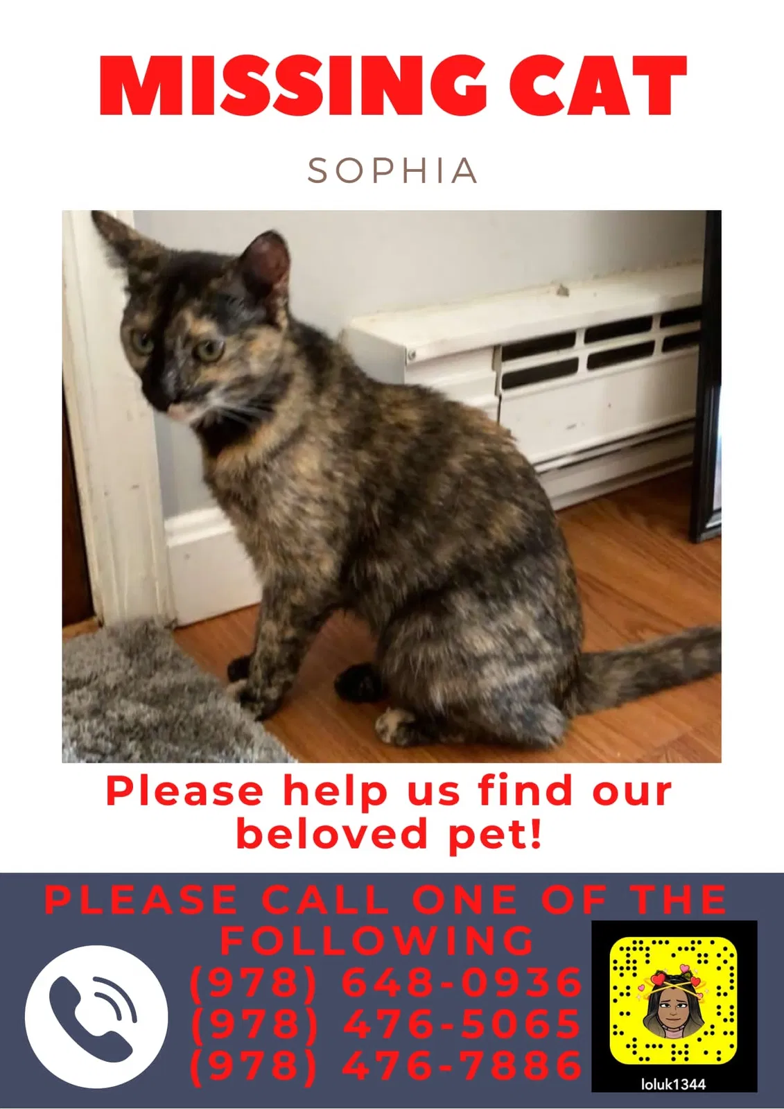 Lost cat in Haverhill, MA, 1832