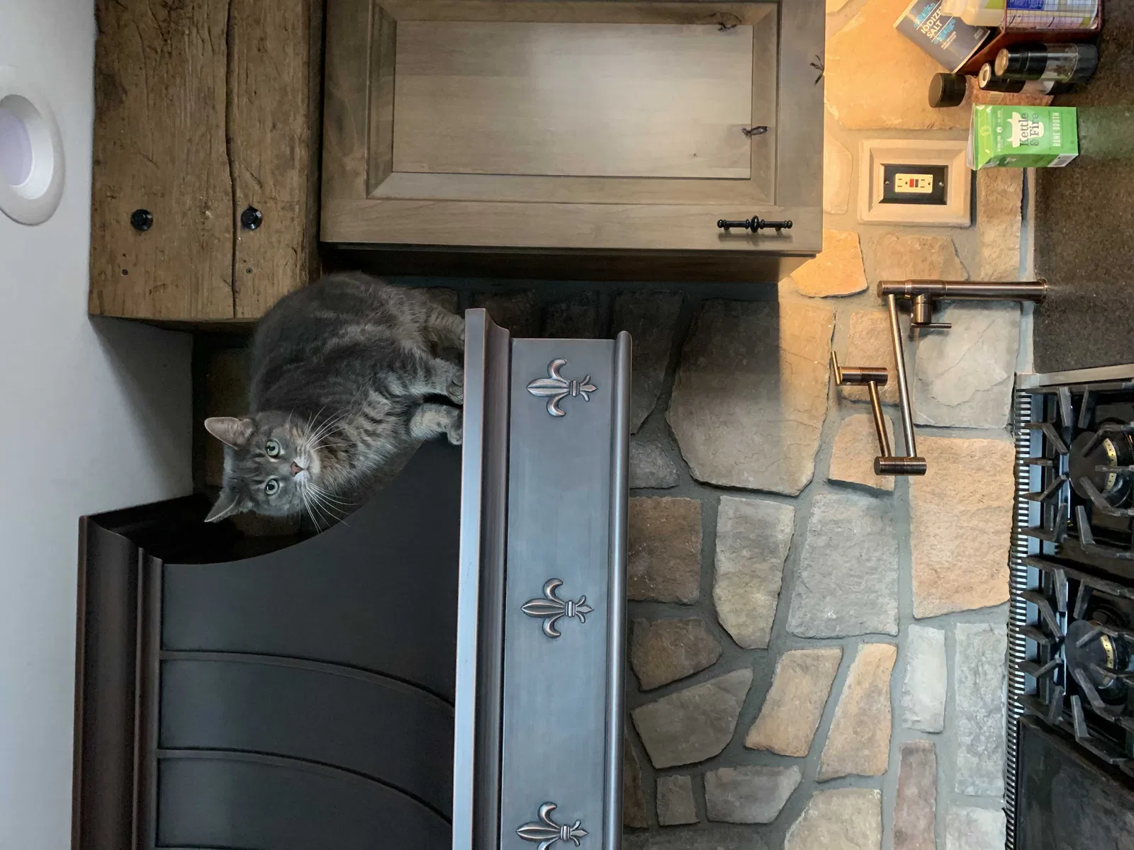 Lost cat in Pinconning, MI, 48650