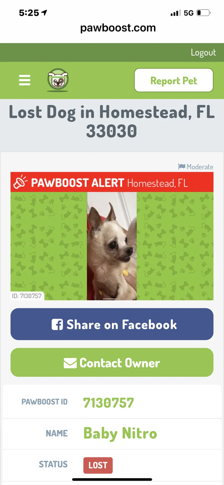 Lost dog in Homestead, FL, 33033