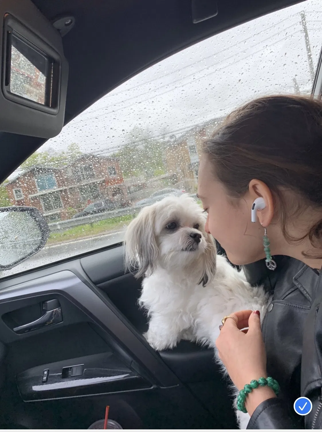 Lost dog in Staten Island, NY, 10305