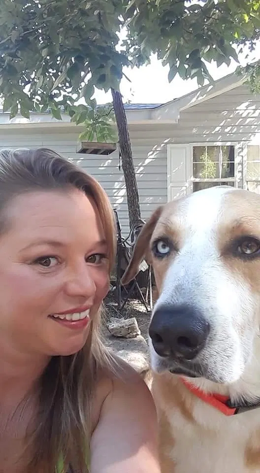 Lost dog in Kirbyville, MO, 65679