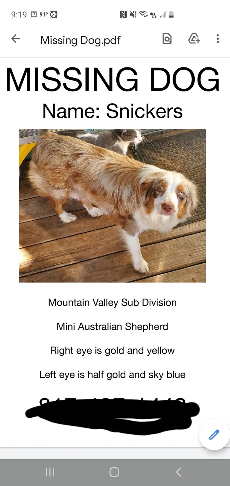 Lost dog in Joshua, TX, 76058