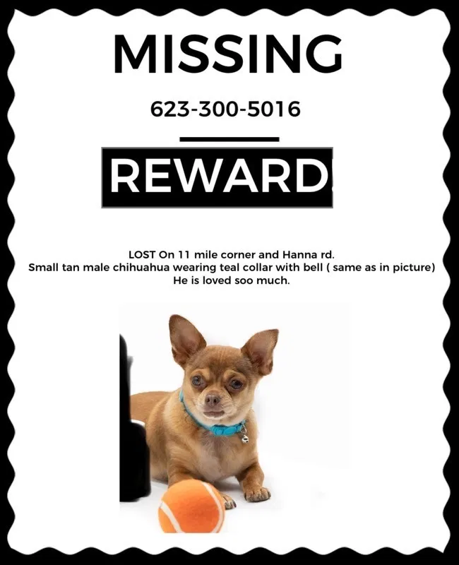 Lost dog in Eloy, AZ, 85131