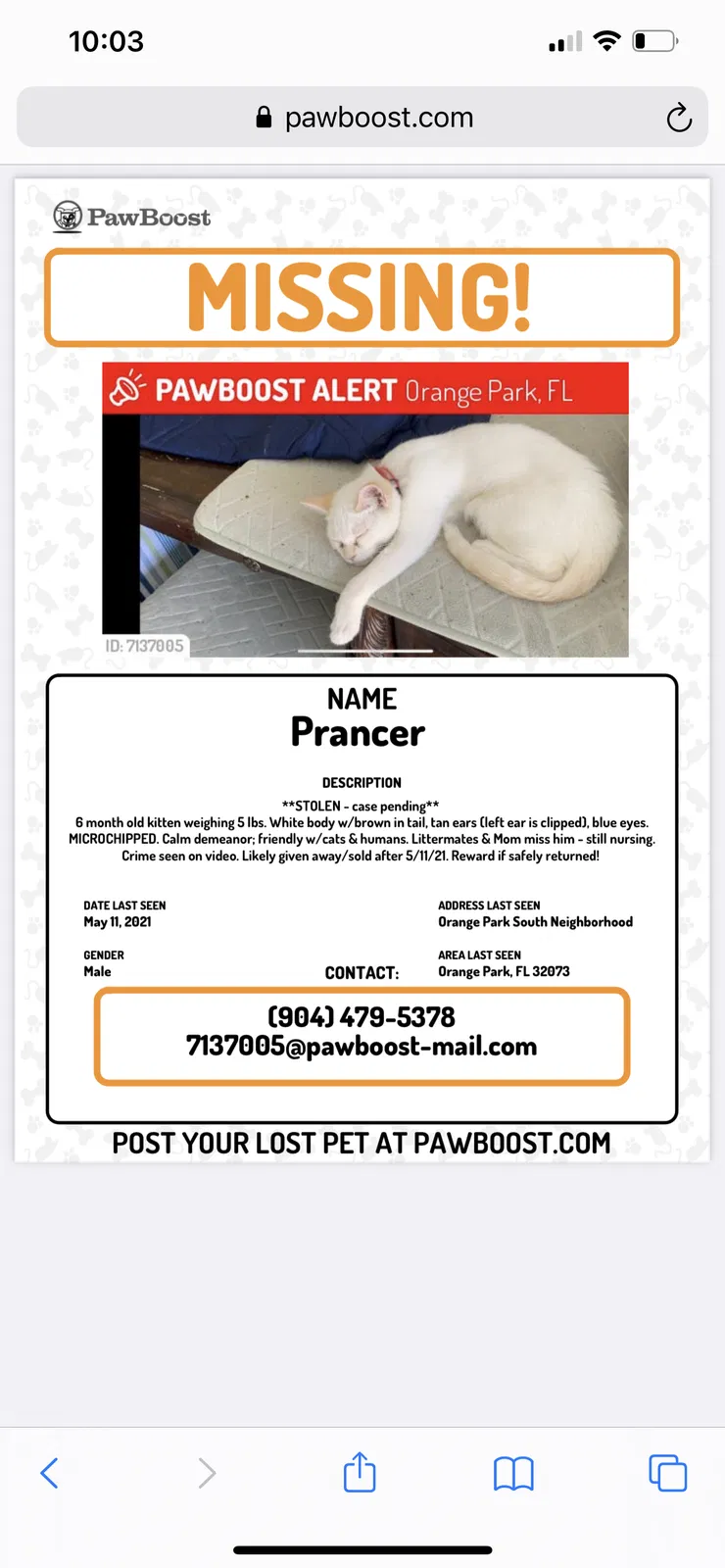 Lost cat in Middleburg, FL, 32068