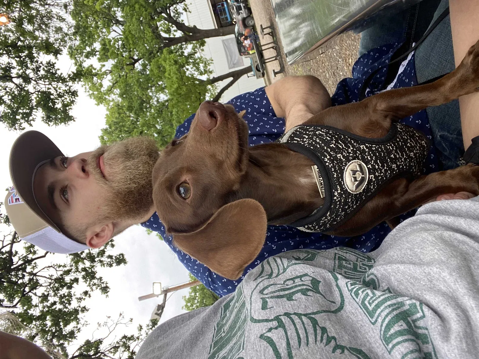 Lost dog in Quinlan, TX, 75474