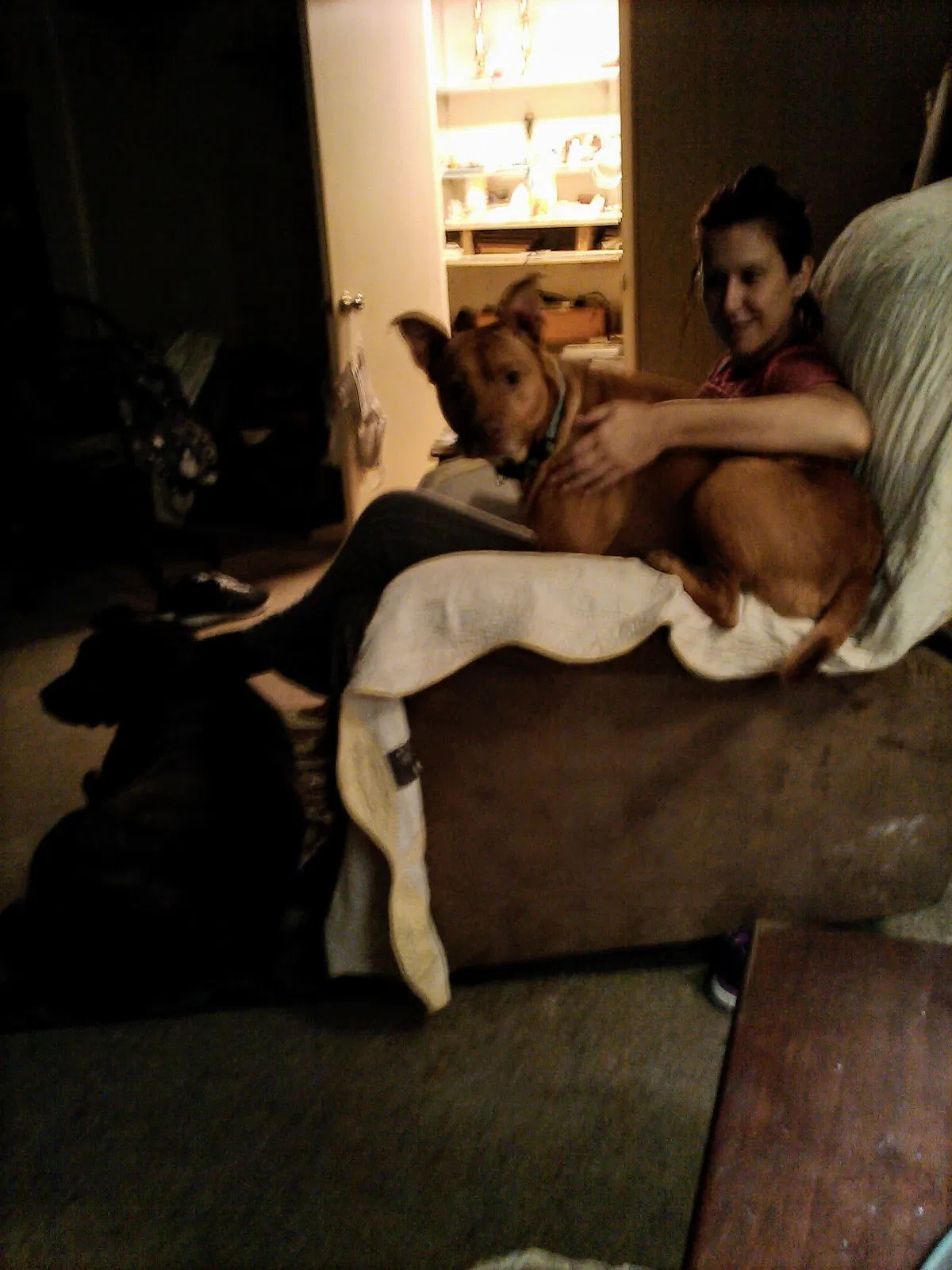 Lost dog in Lehigh Acres, FL, 33936