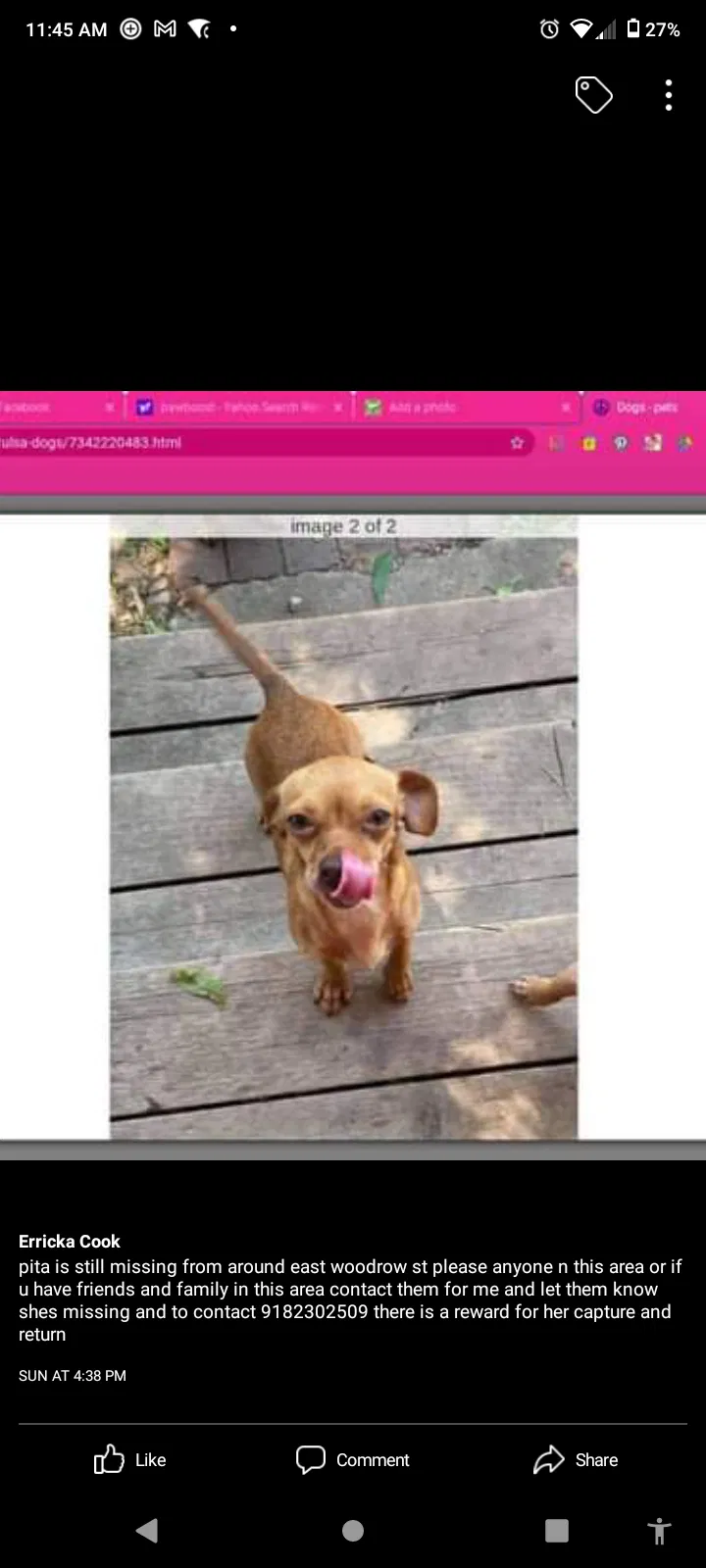 Lost dog in Tulsa, OK, 74106