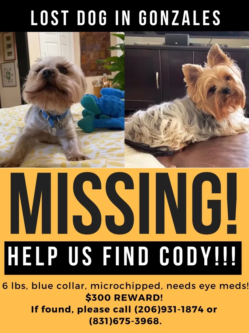 Lost dog in Gonzales, CA, 93926