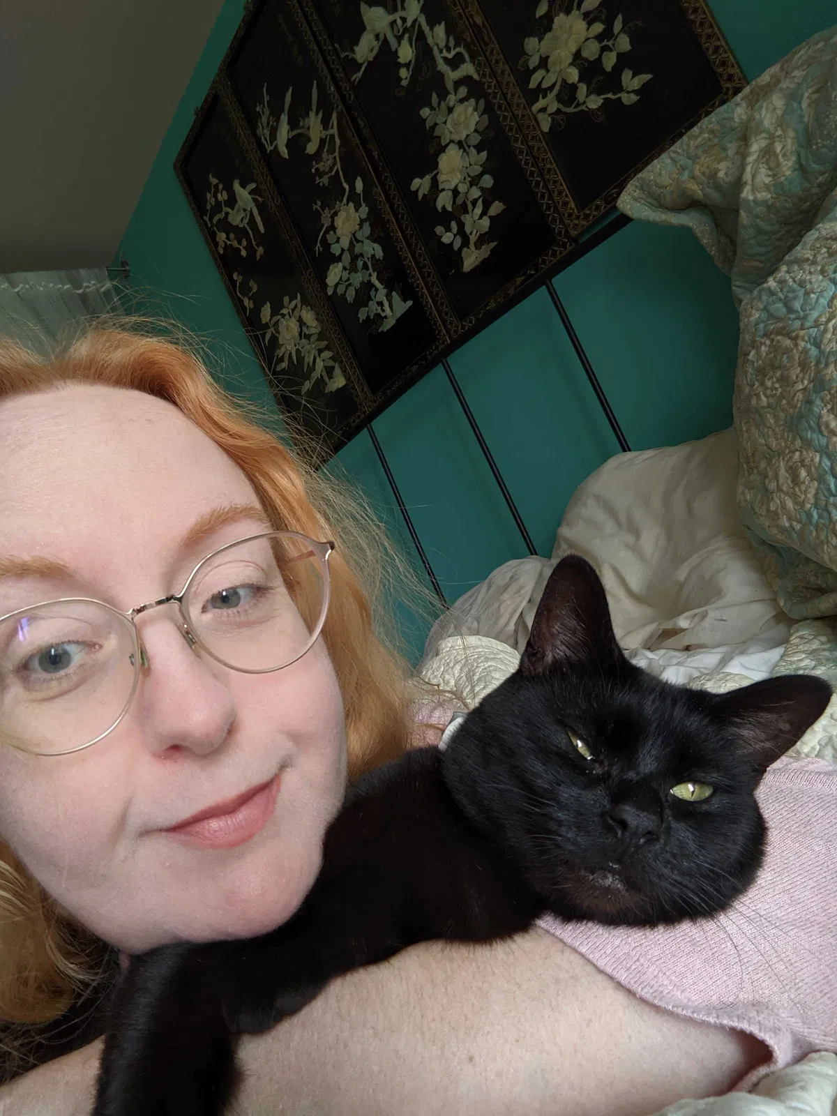 Lost cat in Rochester, WA, 98579