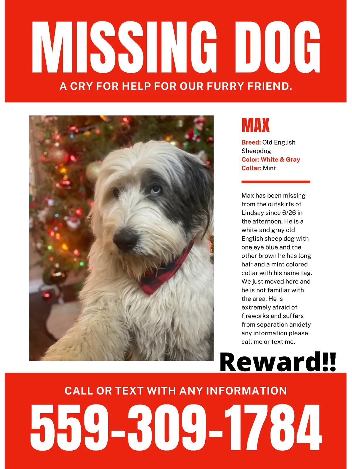Lost dog in Lindsay, CA, 93247